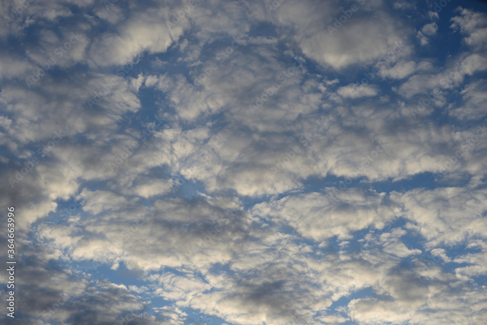Obraz premium Altocumulus clouds at sunset.