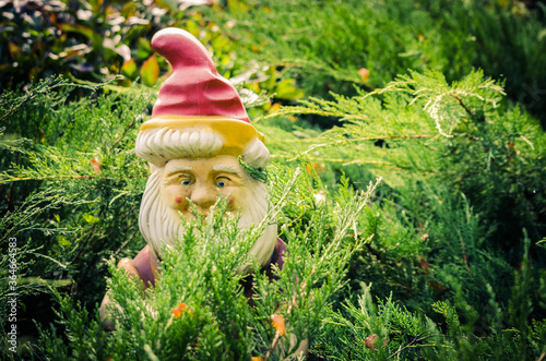 gnome in the garden
