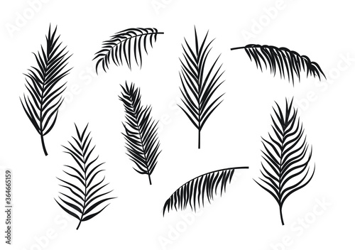 Palm leaves silhouettes isolated on white background.