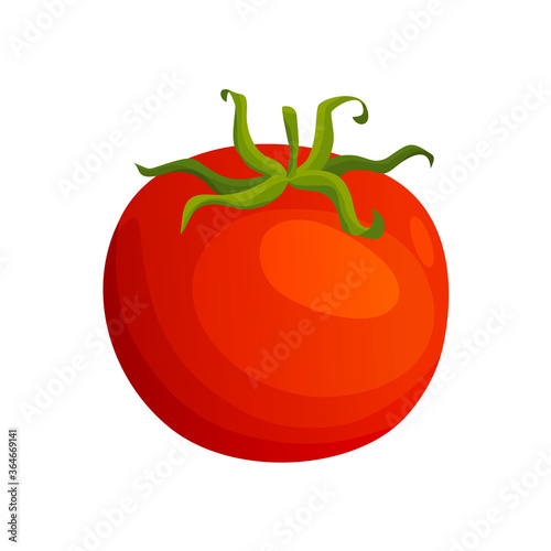 Tomato. Fresh healthy red tomato made in flat style. Single tomato. Vegetarian food. Vegetable from the farm. Organic food. Vector illustration of tomato