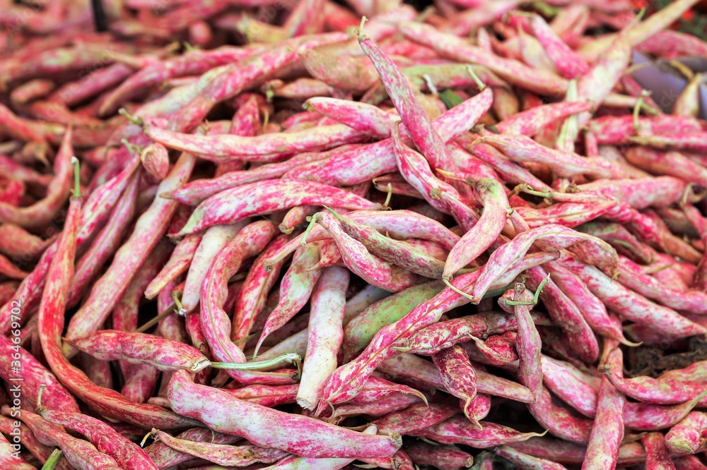 pinto beans close-up - top view pinto beans close-up - top view