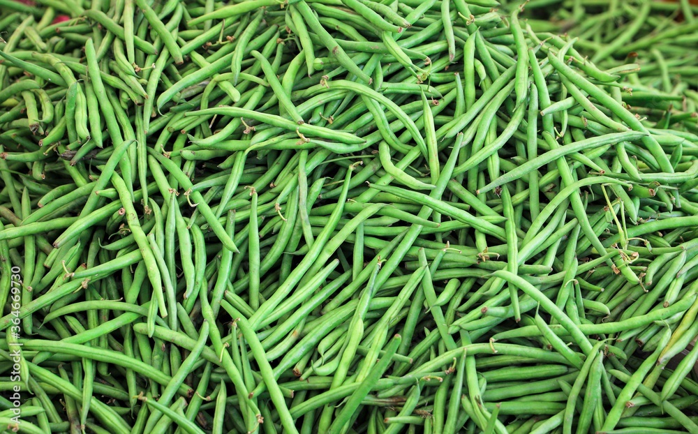 green beans viewed from above - texture and background green beans viewed from above - texture and background