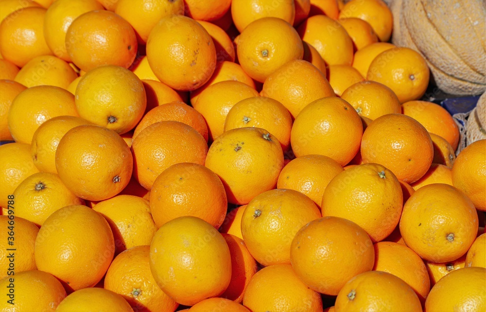 organically grown oranges for sale at the market organically grown oranges for sale at the market