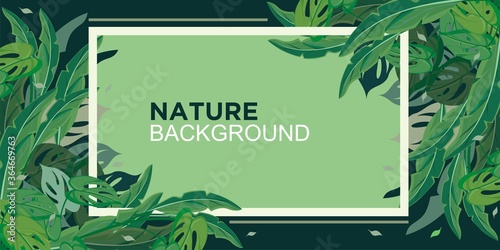 Nature background vector and illustration. Foliage vector background for quotes