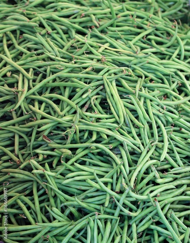 green beans viewed from above - texture and background