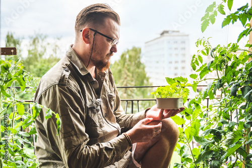 Obraz na plátně A man is gardening in a city apartment, growing tomatoes and arugula near a window