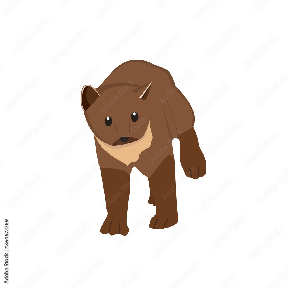 Fototapeta premium Pine Martens Illustration