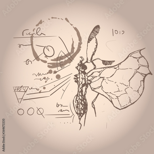 background stylized as notes of an entomologist
