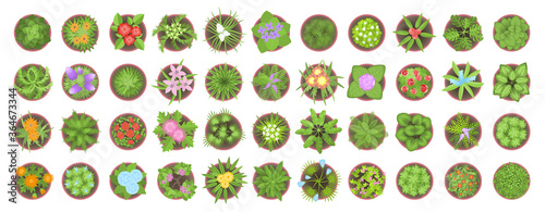 Vector set. Different flowers and plants in pots. Top view. Flowerbeds. View from above.