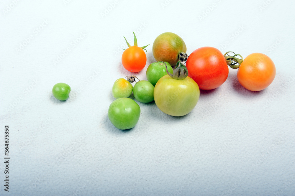 Green, orange and red tomatoes of random size. Tomatoes of different degree of ripeness. Shot against white background. Green, orange and red tomatoes of random size. Tomatoes of different degree of ripeness. Shot against white background.