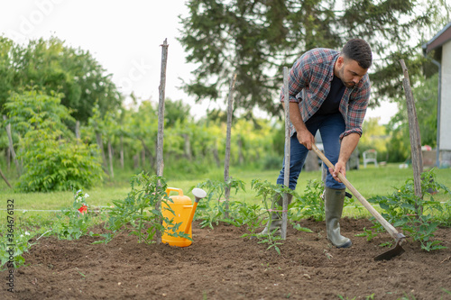 Young man reclaims soil with hoe in his garden. Concept eco farm vegetable garden.