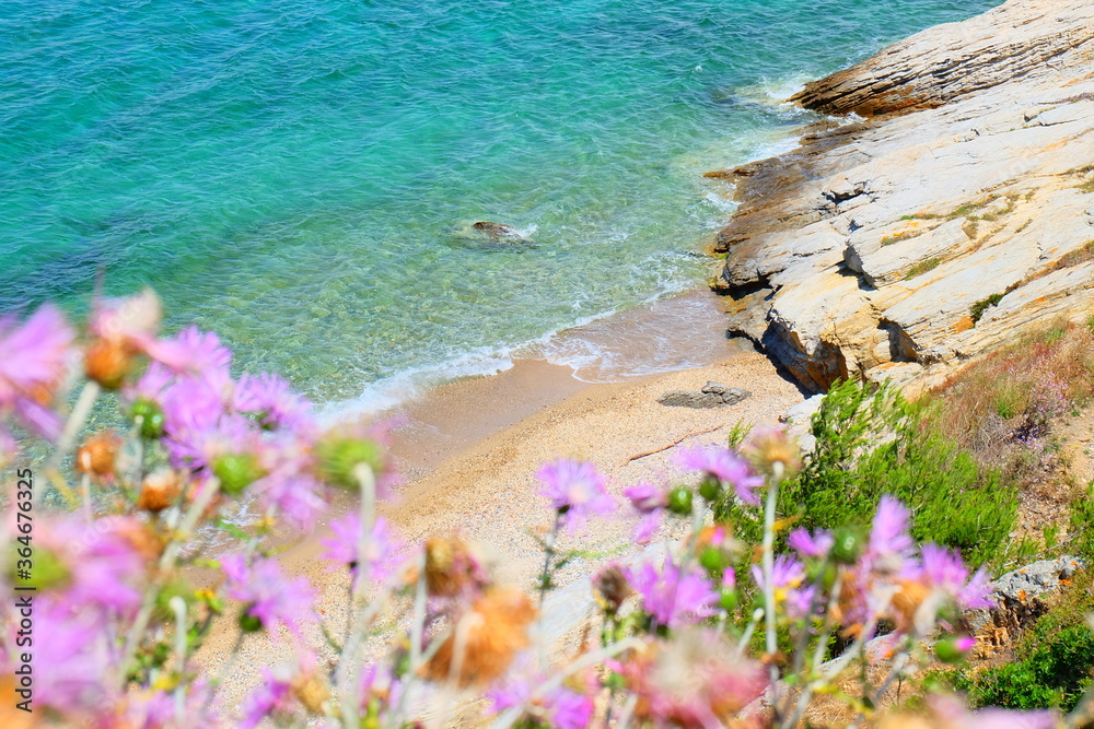 Porquerolles Island, France