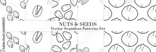 Nuts and seeds vector pattern. Outline hand drawn design