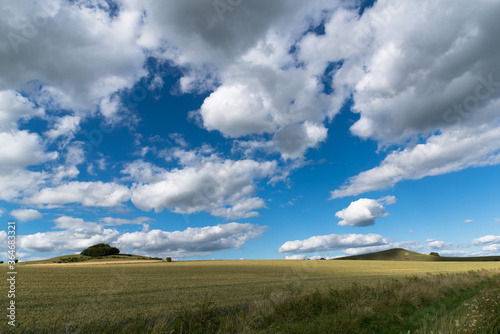 The Great Wide Open of Wiltshire s Marlborough Downs