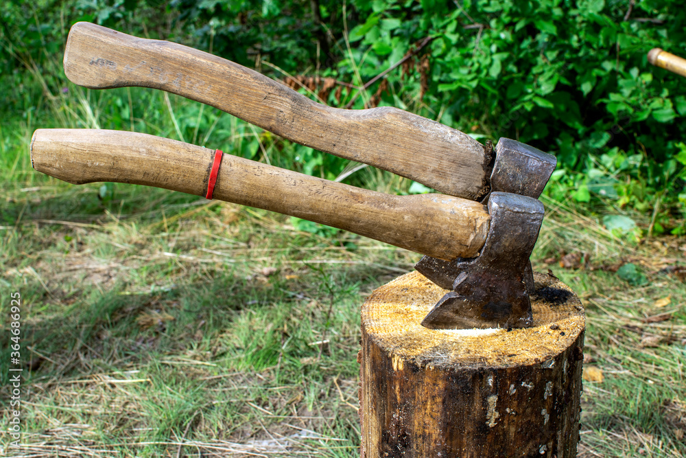 axe in log