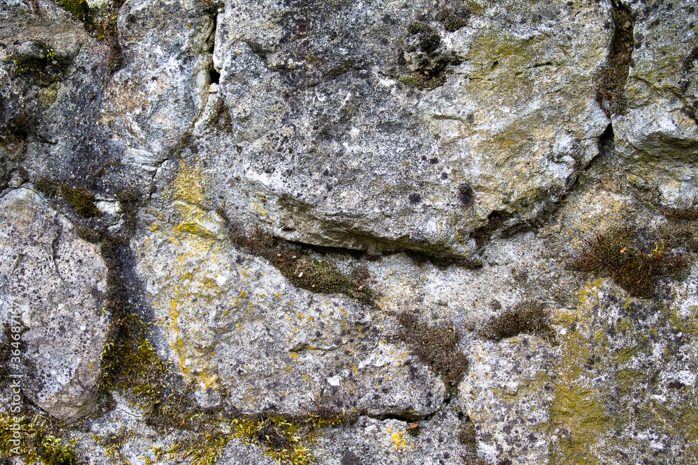 Texture natural stone wall overgrown with moss. Large and small stones form the wall. Texture natural stone wall overgrown with moss. Large and small stones form the wall.