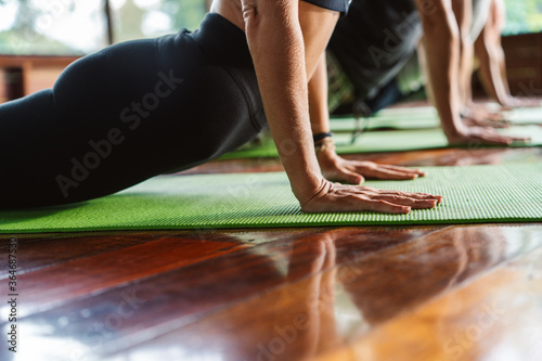 Obraz na płótnie Group Of People Practicing Yoga In Class. Hands close up w salonie