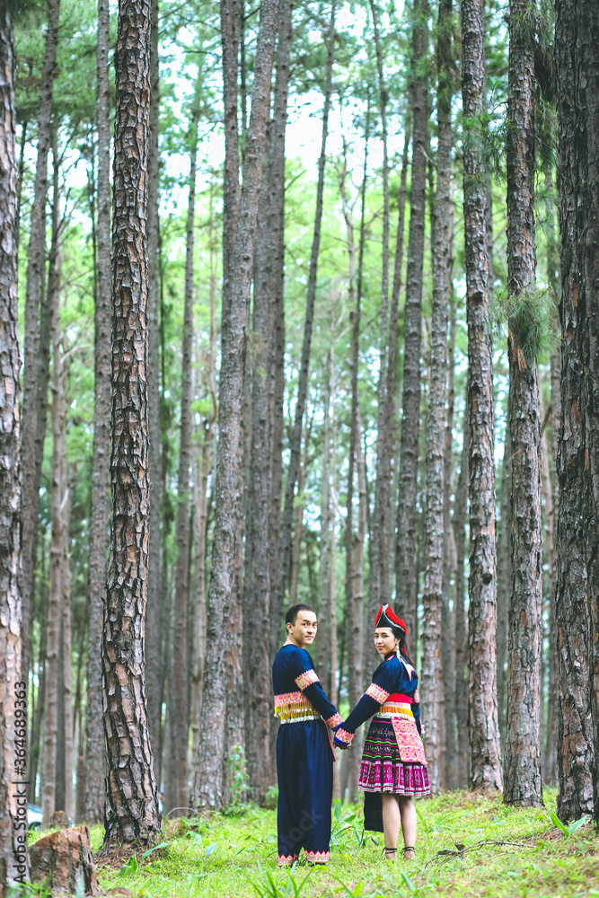Couple hmongs holding hands and walking in the pine wood, Man and woman in Hmong clothes Couple hmongs holding hands and walking in the pine wood, Man and woman in Hmong clothes
