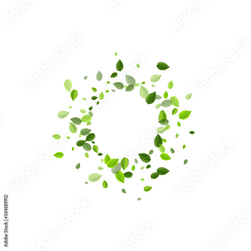 Olive Greens Flying Vector Poster. Ecology 