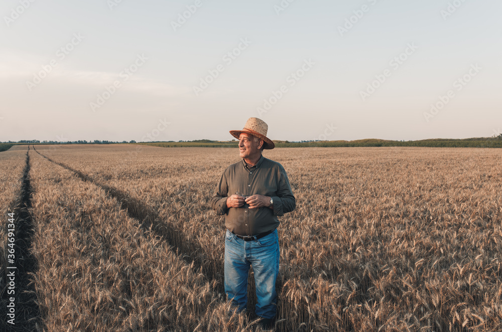 Portrait of senior farmer with hat standing in wheat field at sunset.