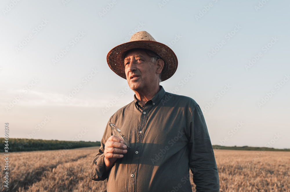Portrait of senior farmer with hat standing in wheat field at sunset. Portrait of senior farmer with hat standing in wheat field at sunset.