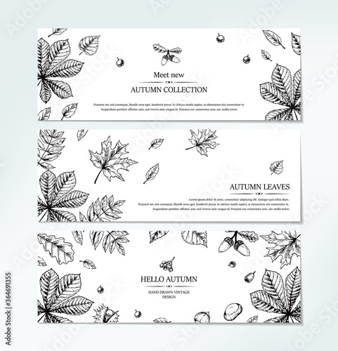 Set of hand drawn autumn horizontal banners with falling leaves, acorn and berries. Vector illustration in sketch style isolated on white. Space for text