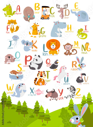 Fototapeta Naklejka Na Ścianę i Meble -  Animal alphabet graphic A to Z. Cute vector Zoo alphabet with animals in cartoon style.