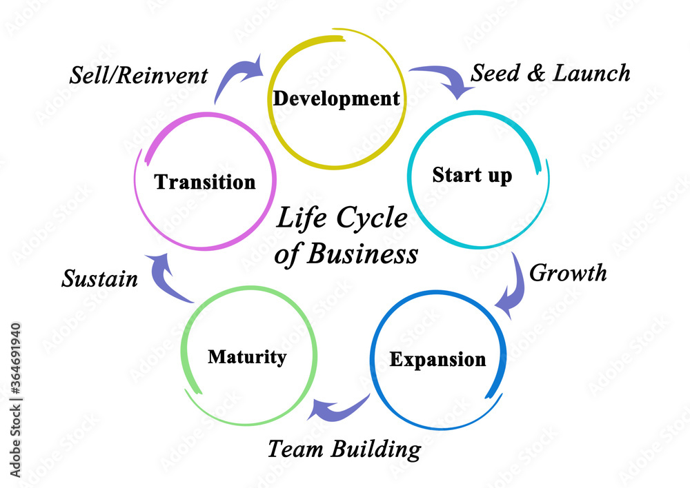 Five stages of Life Cycle of Business.