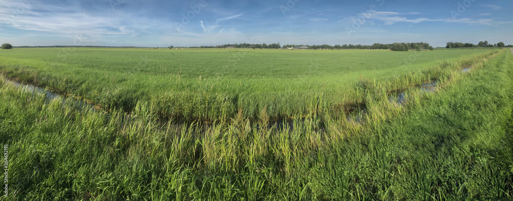 Dutch polderlandscape. Canal and meadows. Grass. Steenwijkerland Wapserveense Aa polder. Netherlands