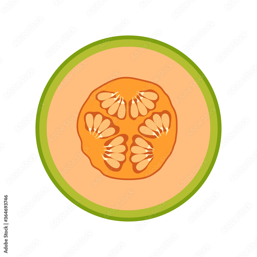 slice of melon fruit isolated on white slice of melon fruit isolated on white