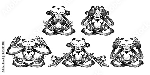 Set of monkeys. Monkeys are sitting in different poses and meditation. See no Evil, Hear no Evil, Speak no Evil. For poster, print, t-shirt, tattoo.