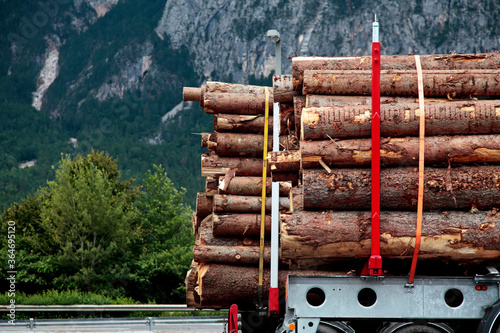 Truck transports wood from Italy to Austria