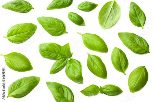 basil leaves isolated on a white background. top view