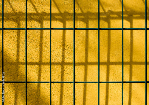 Close up of yellow wall behind the green fence mesh. Yellow color wall background. Texture of wire mesh fence. wire mesh fence wallpaper for design or architecture. pattern of freedom.