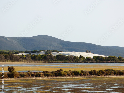 Fototapeta Naklejka Na Ścianę i Meble -  Sardinia eduta of the pond of Porto Pino, in the background the dunes of the nearby beach.