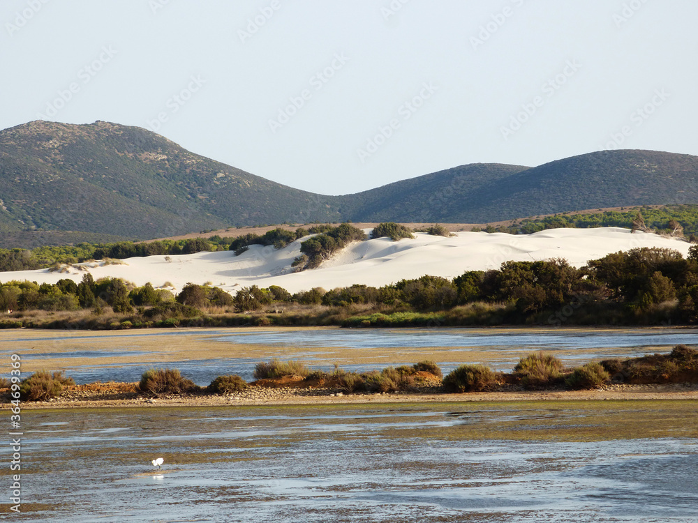 Sardinia eduta of the pond of Porto Pino, in the background the dunes of the nearby beach.