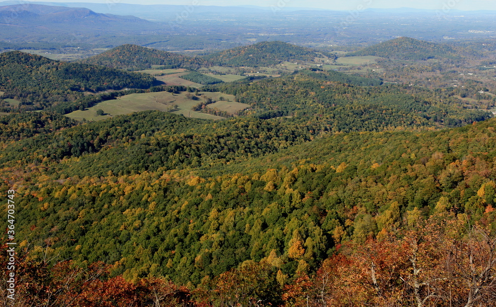 Fototapeta premium Early fall colors in Shenandoah National Park, Virginia