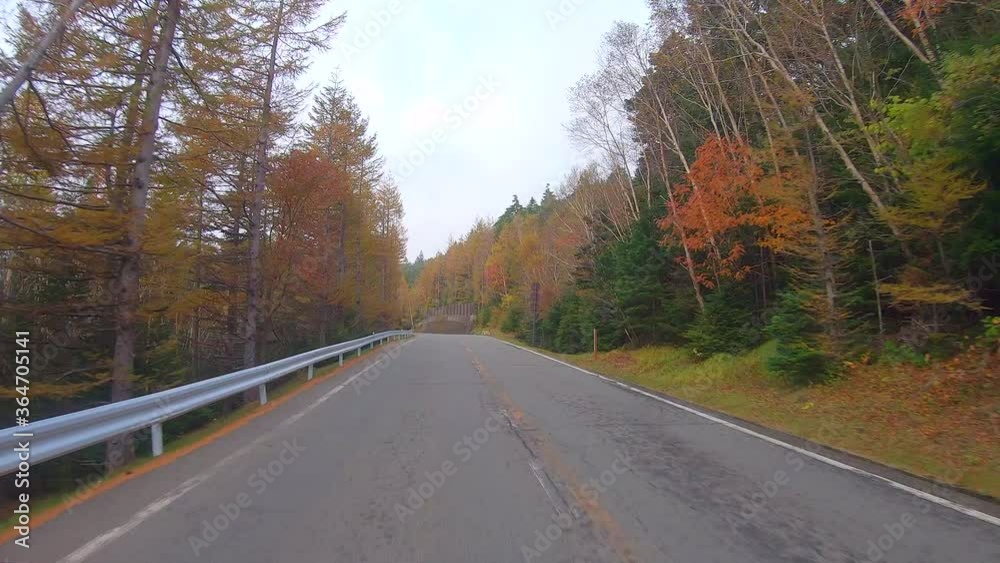 Drive a car on the rural roads of Japan in the fall at Mount Fuji Drive a car on the rural roads of Japan in the fall at Mount Fuji