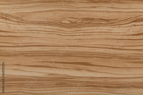 Olive. Bright contrast wood texture. Background for design. Structured timber surface.