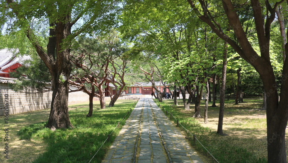path in the park