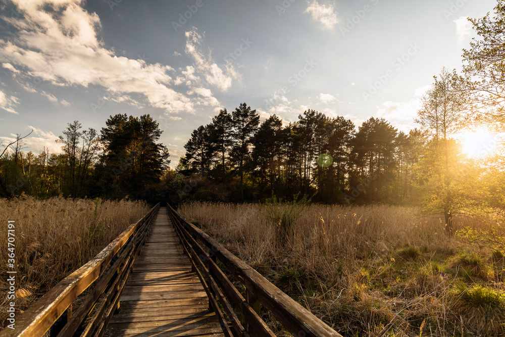 Landscape in the park. Sunrise on a cloudy day in the park Landscape in the park. Sunrise on a cloudy day in the park