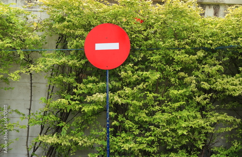 No entry sign against green treess photo