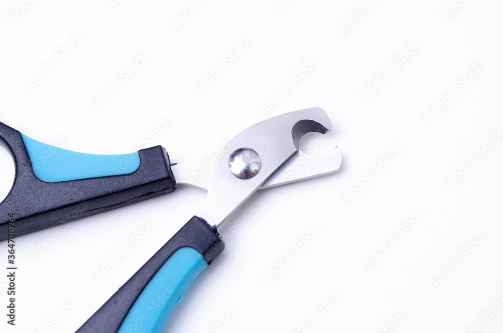 Cat claw scissors for cats with black and blue handle on a white background in macro Cat claw scissors for cats with black and blue handle on a white background in macro