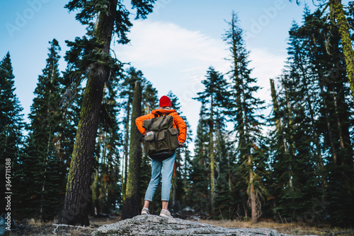 Back view of hipster girl with rucksack exploring national park during hiking tour on weekends, young female traveler enjoying wanderlust trip while getting to destination in green tree forest