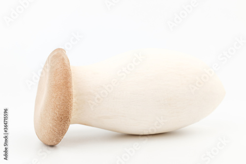 King oyster mushroom on white background