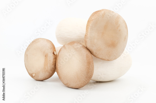 King oyster mushroom on white background