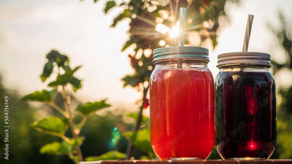 Two Natural Berry Drink Amid Red Currant Bush