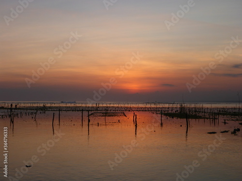 Plots of a seaweed plantation silhouetted against an orange sky at dusk
