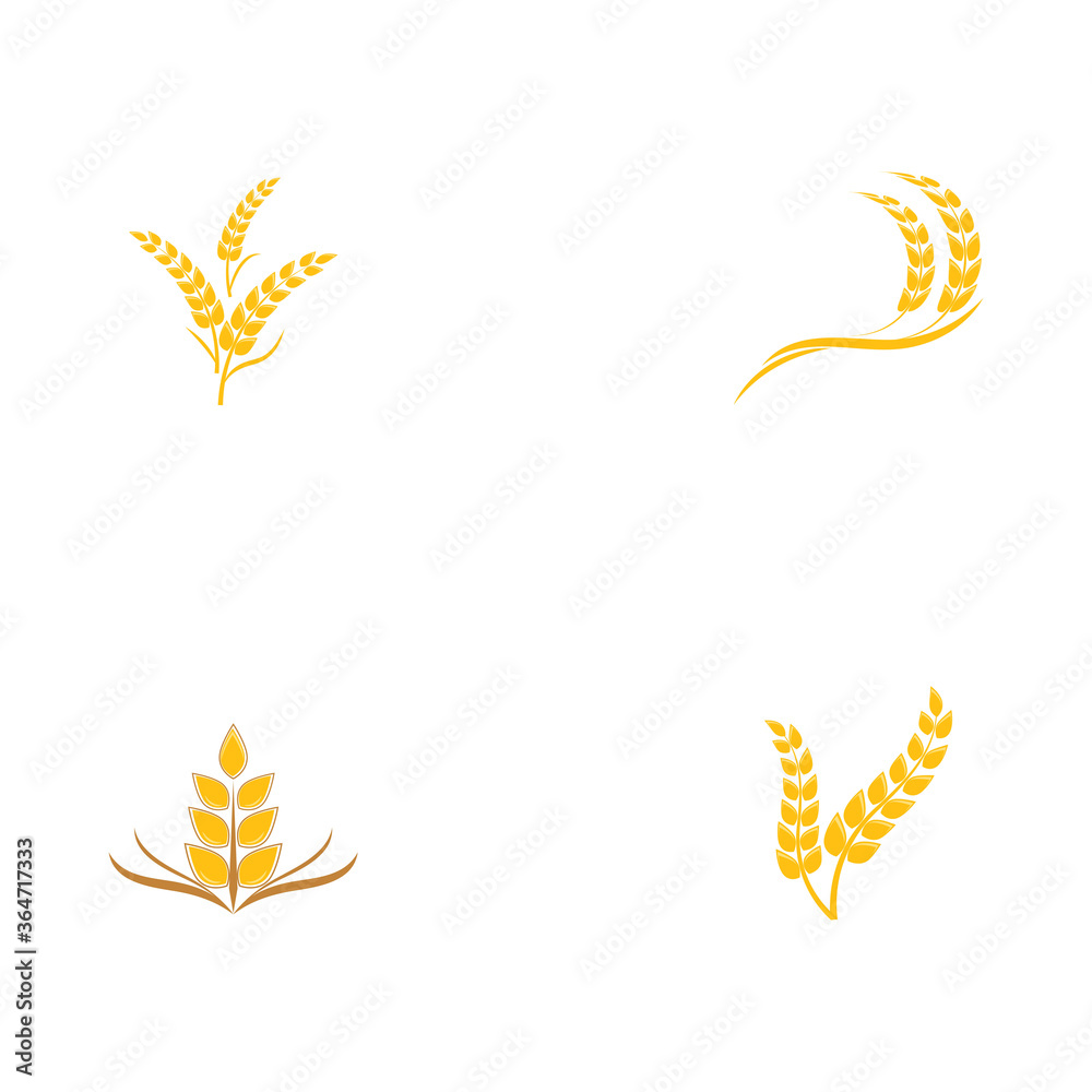 Set Wheat Logo Template vector