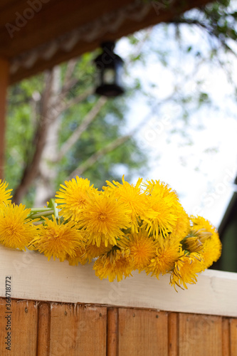 circlet of dandelions photo